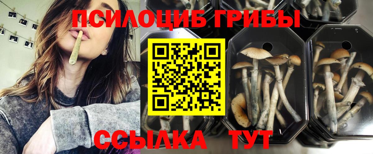 Псилоцибиновые грибы ЛСД Подольск