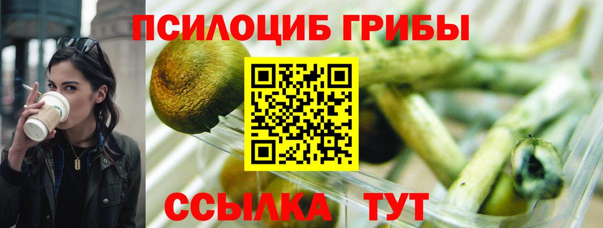 Подольск  Галлюциногенные грибы мухоморы  Вход с VPN  Галлюциногенные грибы MAGIC MUSHROOMS 